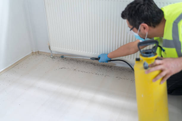 Best Termite Control Services  in Ewa Gentry, HI